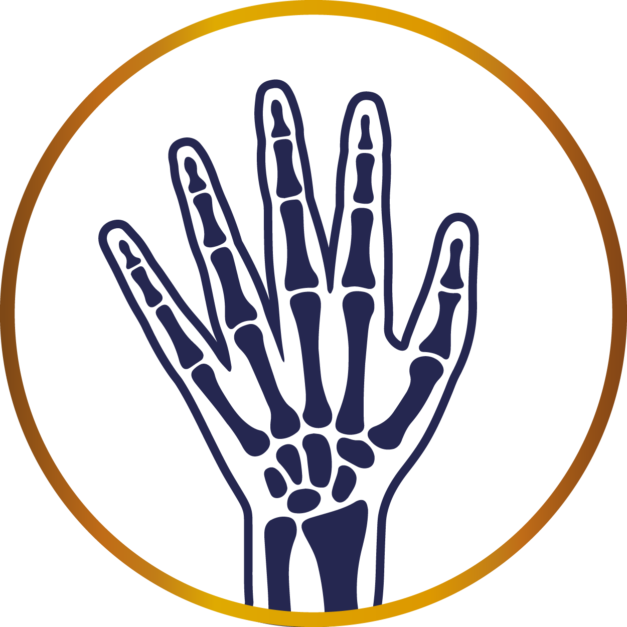 Radiografías Intrabucales